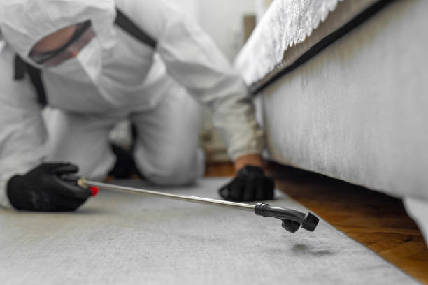 Professional Termite Control technician working in Urbandale, IA