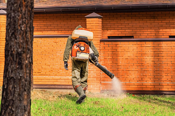 Trusted Termite Control service in Urbandale, IA - Nex Pest Control